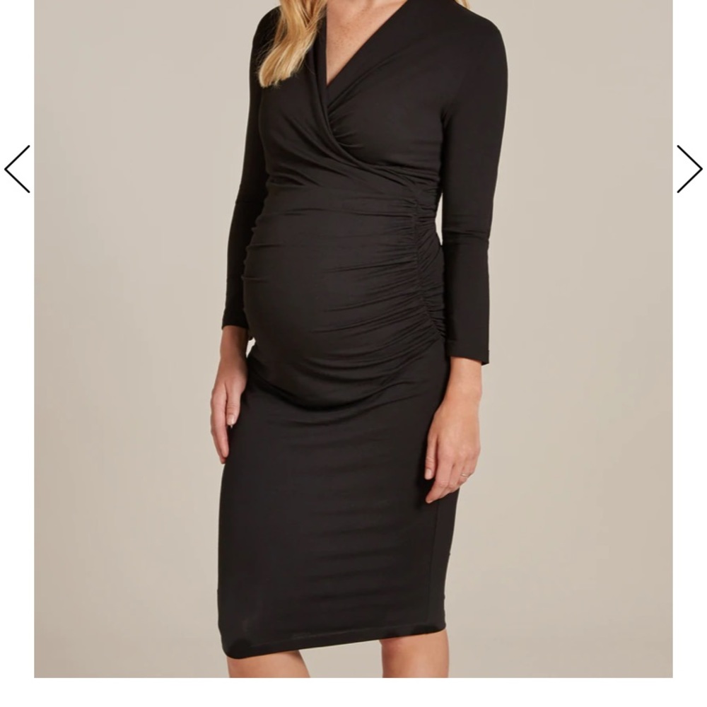 Isabella Oliver Balcombe Size 3 Dress (Maternity)